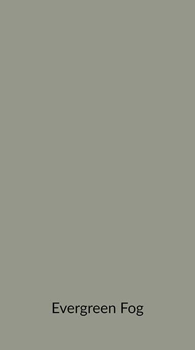 Evergreen Fog